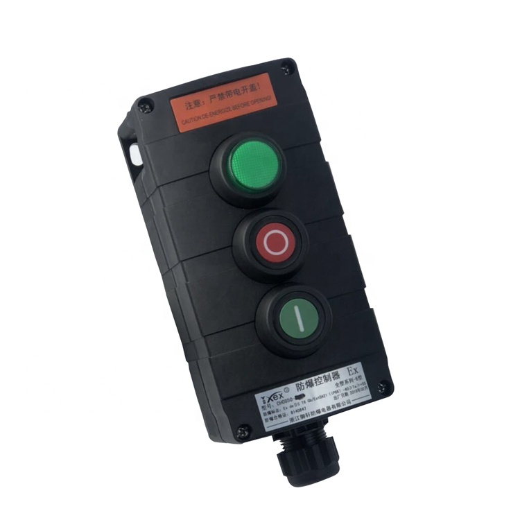 elecresisto.ma-Boitiers-de-commande-ATEX-2-boutons-et-1-Voyant-maroc-33